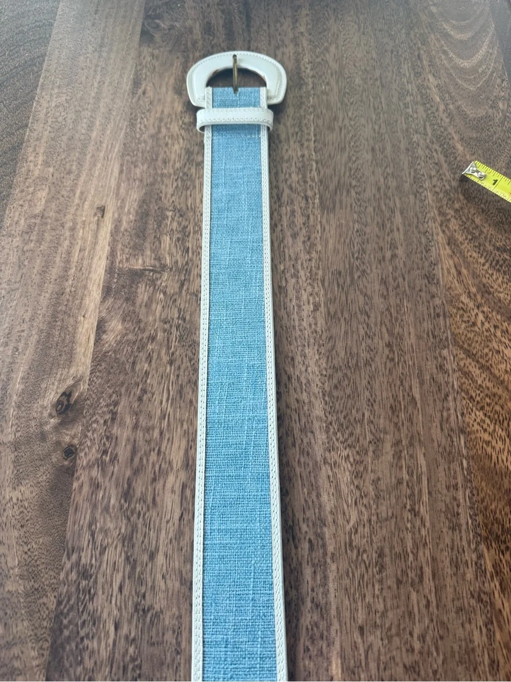 Anthropologie Blue & White Color-block Leather Belt